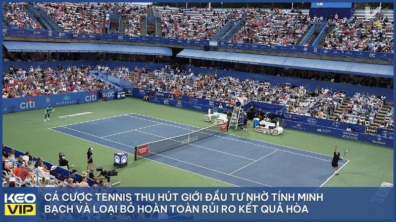 Cá Cược Tennis: Cẩm Nang Toàn Tập & Chiến Thuật Soi Kèo Nhà Cái Từ A-Z 1 Sức hút của tennis không chỉ đến từ những pha bóng đẹp mà còn từ tỷ lệ thắng cược cực kỳ hấp dẫn.